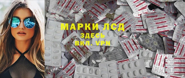 сатива Заволжье