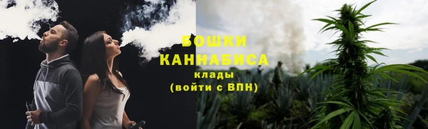 мдпв Пересвет