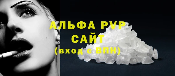 сатива Заволжье