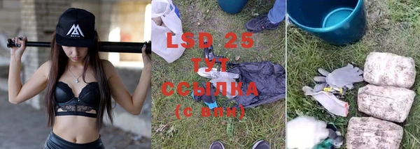 сатива Заволжье