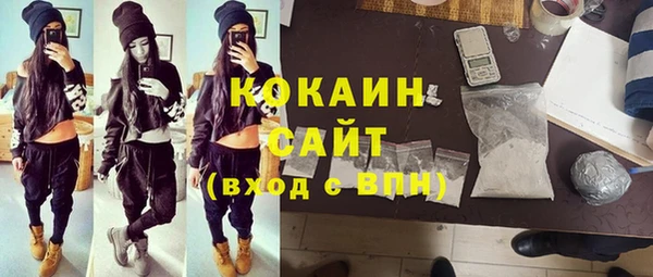 сатива Заволжье