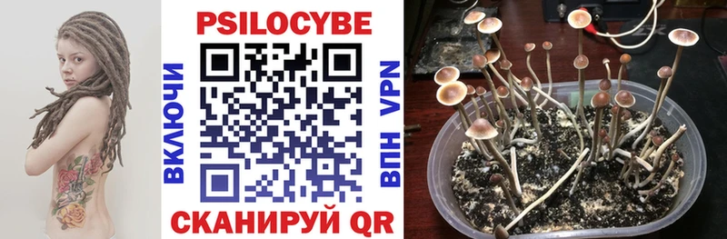 Псилоцибиновые грибы мицелий  Зеленокумск 